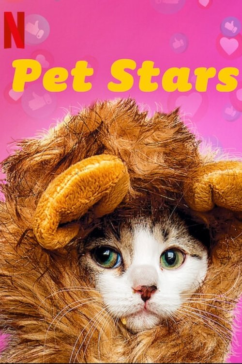 Pet Stars : 1.Sezon 3.Bölüm