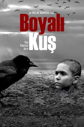 Boyalı Kuş izle