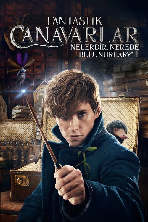 Fantastik Canavarlar Nelerdir, Nerede Bulunurlar? izle
