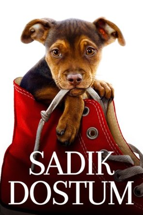 Sadık Dostum izle (2019)