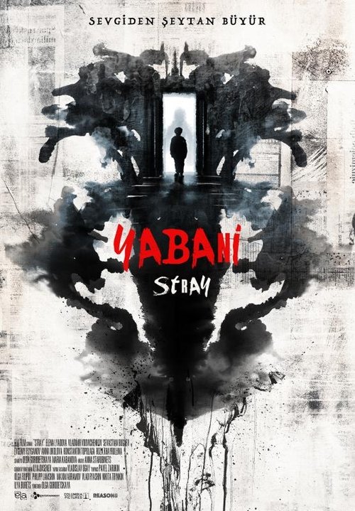 Yabani – Stray izle (2019)