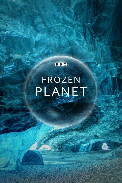 Frozen Planet : 1.Sezon 4.Bölüm