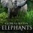 Secrets of the Elephants : 1.Sezon 4.Bölüm izle
