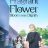 The Fragrant Flower Blooms with Dignity : 1.Sezon 5.Bölüm izle