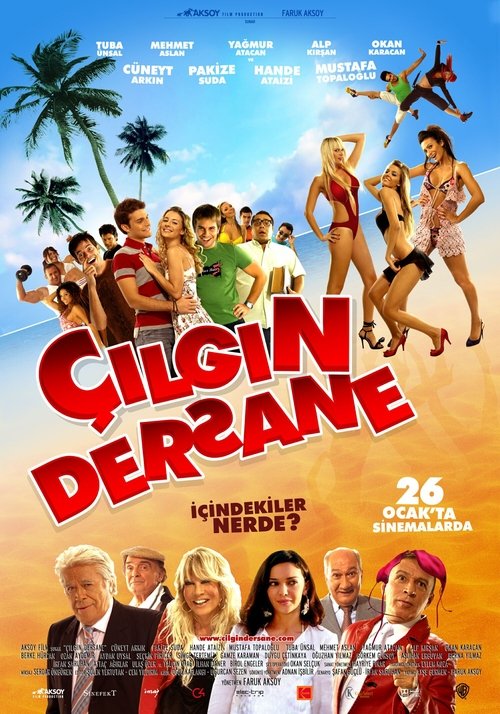 Çılgın Dersane izle (2007)