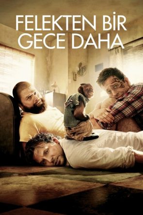 Felekten Bir Gece Daha izle (2011)