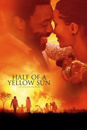 Half of a Yellow Sun izle (2013)