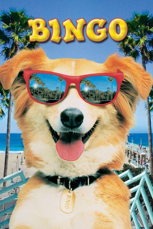 Kahraman Köpek Bingo izle (1991)