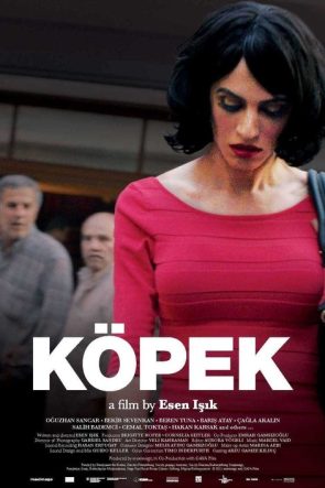 Köpek izle (2015)