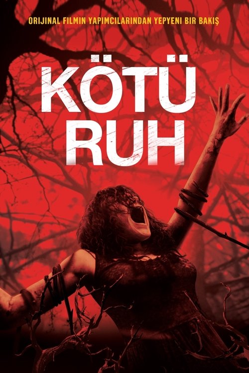 Kötü Ruh izle (2013)