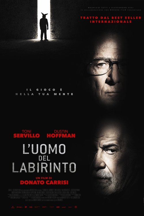L’uomo del labirinto izle (2019)