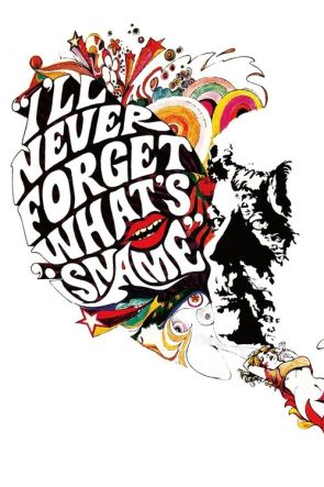 Milyoner Serseri izle (1967)