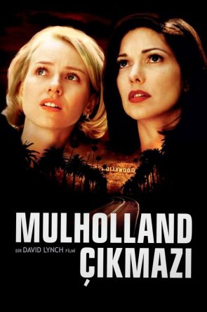 Mulholland Çıkmazı izle (2001)