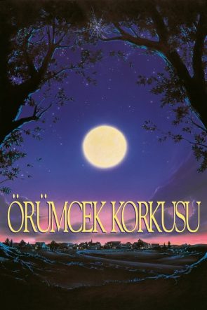Örümcek Korkusu izle (1990)