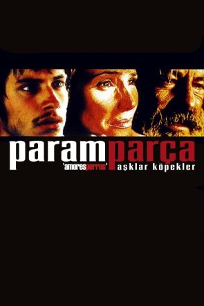Paramparça Aşklar Köpekler izle (2000)