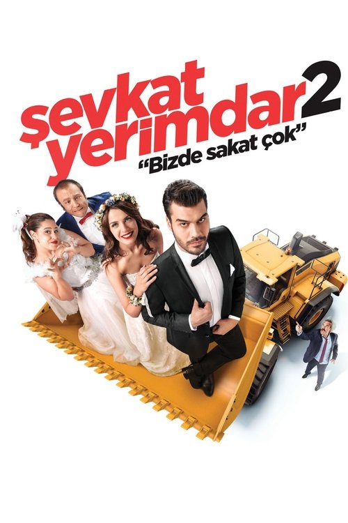 Şevkat Yerimdar 2 izle (2016)